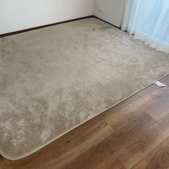 【決定】床暖房対応　絨毯