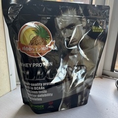 プロテイン ビーレジェンドパイン味1袋