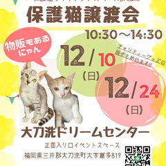 【大刀洗町】12/24(日)譲渡会‼︎保護猫のマッチングスペース...