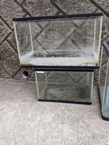 取引中【セット】90cm水槽×3 60cm水槽×1 おまけ（45cm水槽×1（底面  
