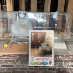 ハリネズミ飼育用品！