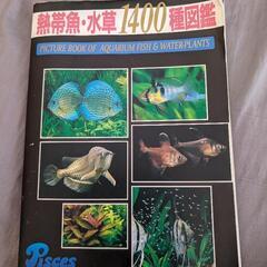 熱帯魚図鑑