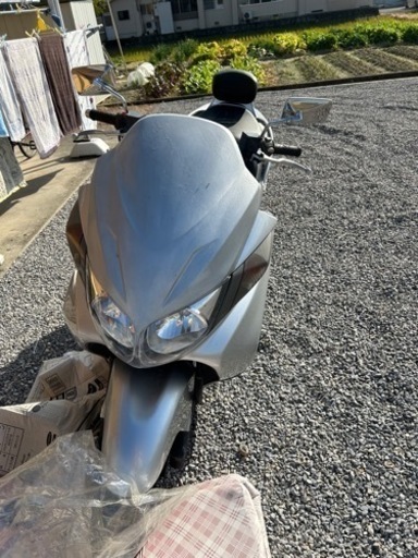 決まりました。スカイウェブ250タイプS
