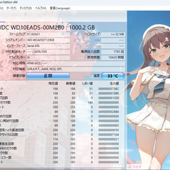 中古HDD WDC WD10EADS-00M2B0 : 1000...