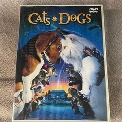cats&DOGS   DVD