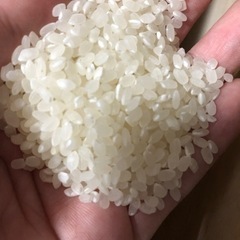 最終価格　30キロ6500円　無洗米　ふさこがね