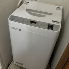 【今週中】2022年購入　洗濯機　シャープ　5.5kg 