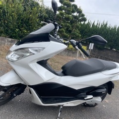 【ネット決済】PCX125（最終値下げ！）