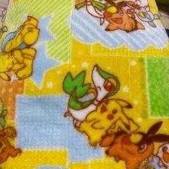 美品☆ポケモン柄ベビー布団敷パット冬