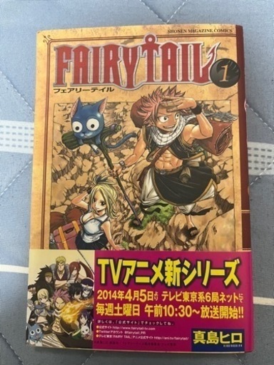 フェアリーテイル　真島ヒロ著