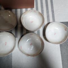 陶彩 彫桜 平鉢