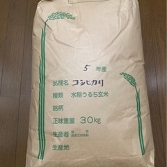 令和5年度　千葉県産　新米　コシヒカリ　30kg 玄米