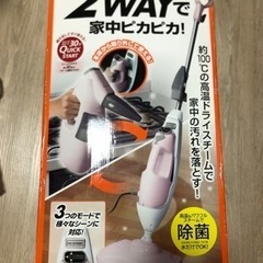 至急❗️アイリスオーヤマ　2WAYスチームクリーム中古品