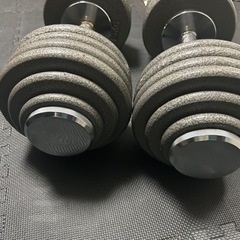 可変式ダンベル 54キロ スクリューロックダンベル