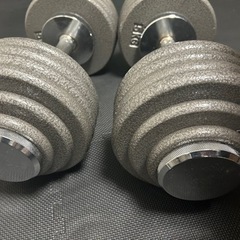 可変式ダンベル　54キロ　スクリューロックダンベル