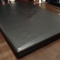 サバイDX forオイル10センチ　ほぼ未使用