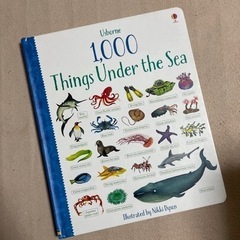 1000 Things Under the Sea 