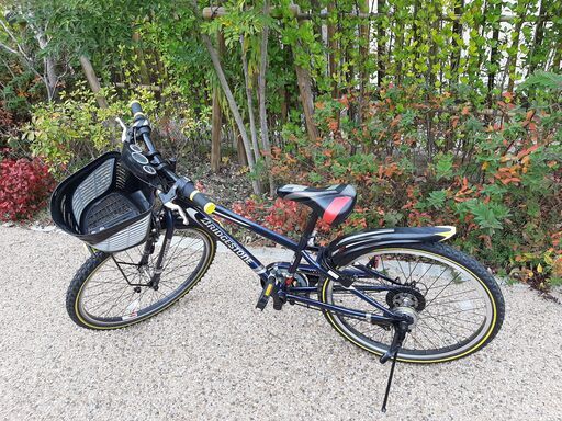 子供用自転車 ブリジストン クロスファイヤー24インチ