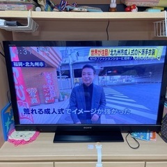 【12/25まで】テレビ