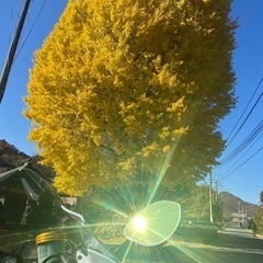 バイクツーリングクラブの会員募集！の画像