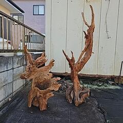 木の根　置物
