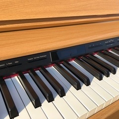 ローランド　DP603-NBS