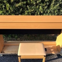 ローランド　DP603-NBS