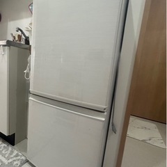 SHARP2019年型冷蔵庫