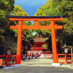 神社めぐり⛩️