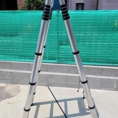 伸縮はしご 🪜 「美品」