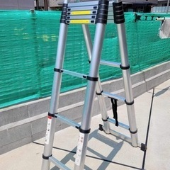 伸縮はしご 🪜 「美品」