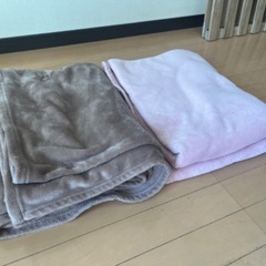 毛布2枚(洗濯済み)