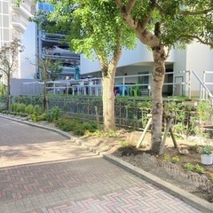 遊歩道沿いの芝生のイベントスペースは如何ですか。