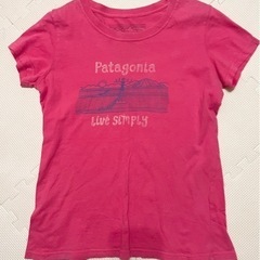 【美品】パタゴニアキッズTシャツ/140cm