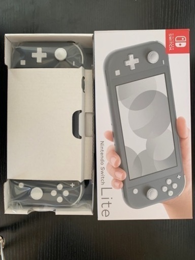 その他 Nintendo Switch Lite