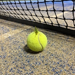 ★ゆったり🎾テニス、楽しみましょう😊 − 北海道