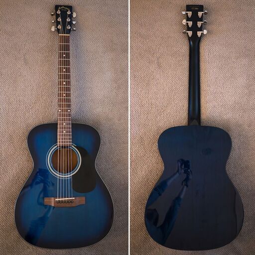 【お取置き中】Aria Dreadnought AF-25  単板トップ RITTERケース付属