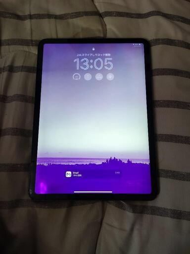 iPad pro11 256ギガ 2018年