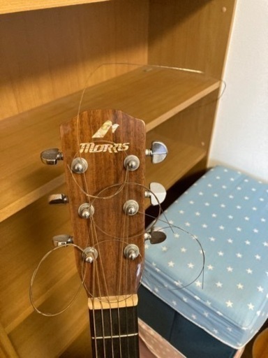 アコースティックギター　モーリス　M81