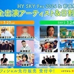 HY SKY FESチケット 大人×2 取引交渉中
