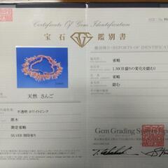 ナチュラルカラーが素晴らしい！天然サンゴネックレス