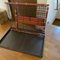 ワンチャン飼育セット