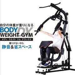 トレーニングマシン　ライシン　BODY WEIGHT GYM DX LS-SA-690※訪問引取限定