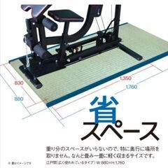 トレーニングマシン　ライシン　BODY WEIGHT GYM DX LS-SA-690※訪問引取限定