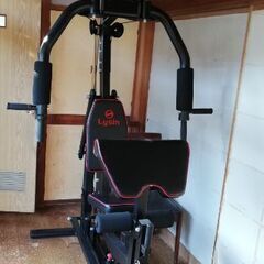トレーニングマシン　ライシン　BODY WEIGHT GYM DX LS-SA-690※訪問引取限定
