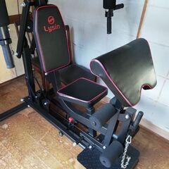 トレーニングマシン　ライシン　BODY WEIGHT GYM DX LS-SA-690※訪問引取限定