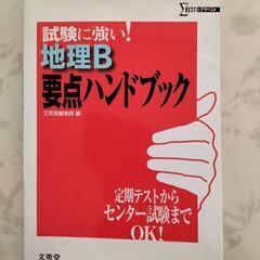 【ネット決済・配送可】地理B　要点ハンドブック　文英堂