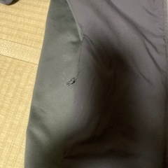 アークテリクス　アトムLTフーディー