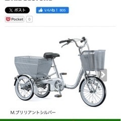 【ネット決済】3輪自転車 大人用三輪車 ブリジストン ワゴン