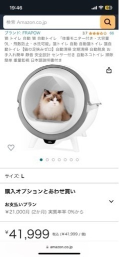自動トイレ　猫
